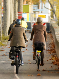 Bike Lanes