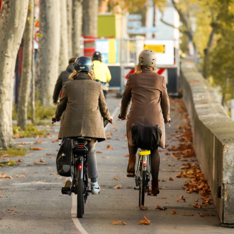 Bike Lanes