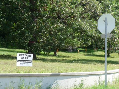 Wall Street Save the Trees